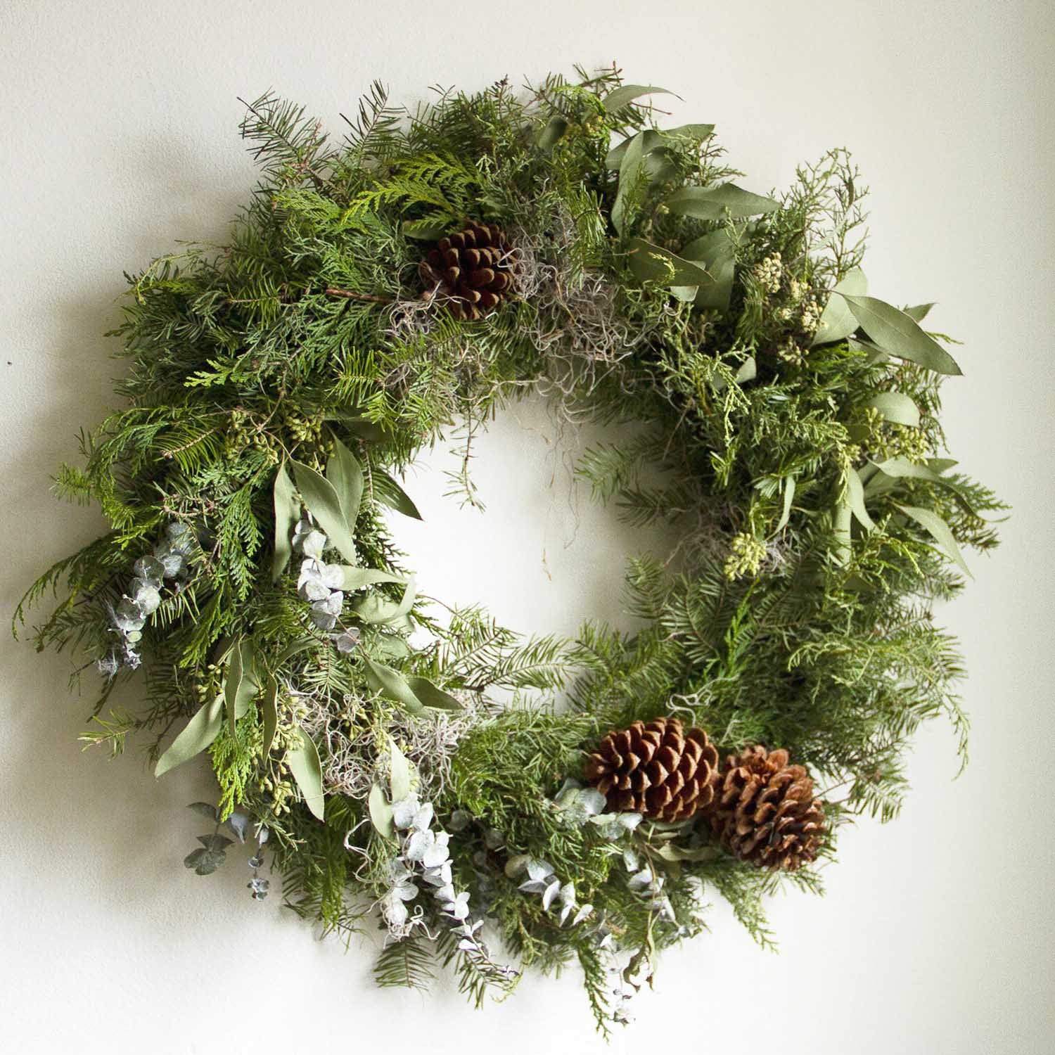 walk in the woods rtch cr 2025.jpg