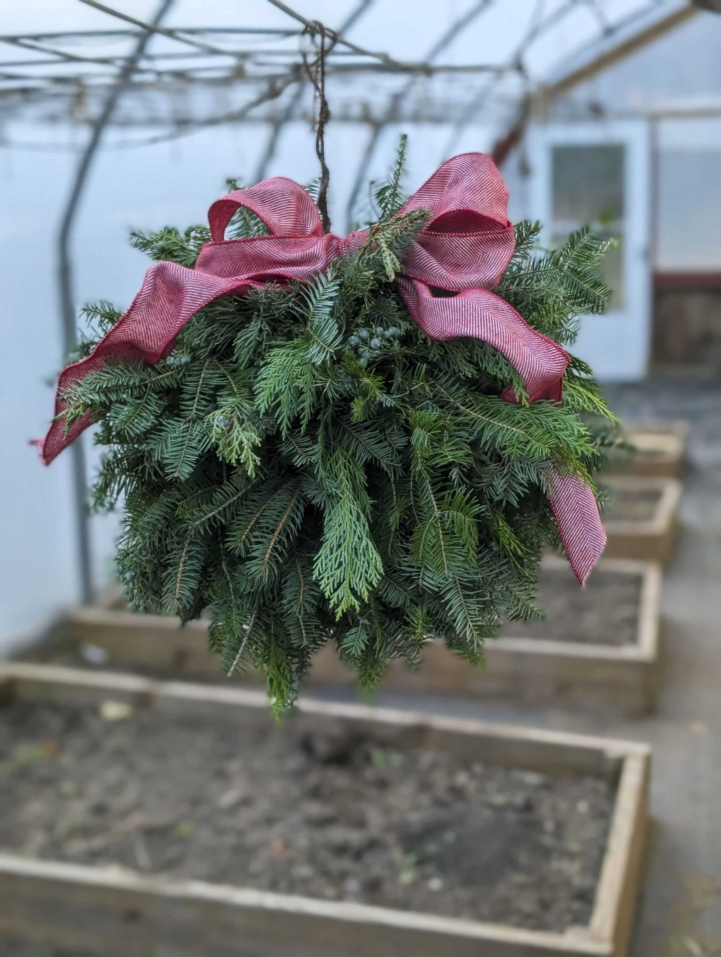 Saturday, 12.6 Kissing Ball Workshop at Custom Landscaping