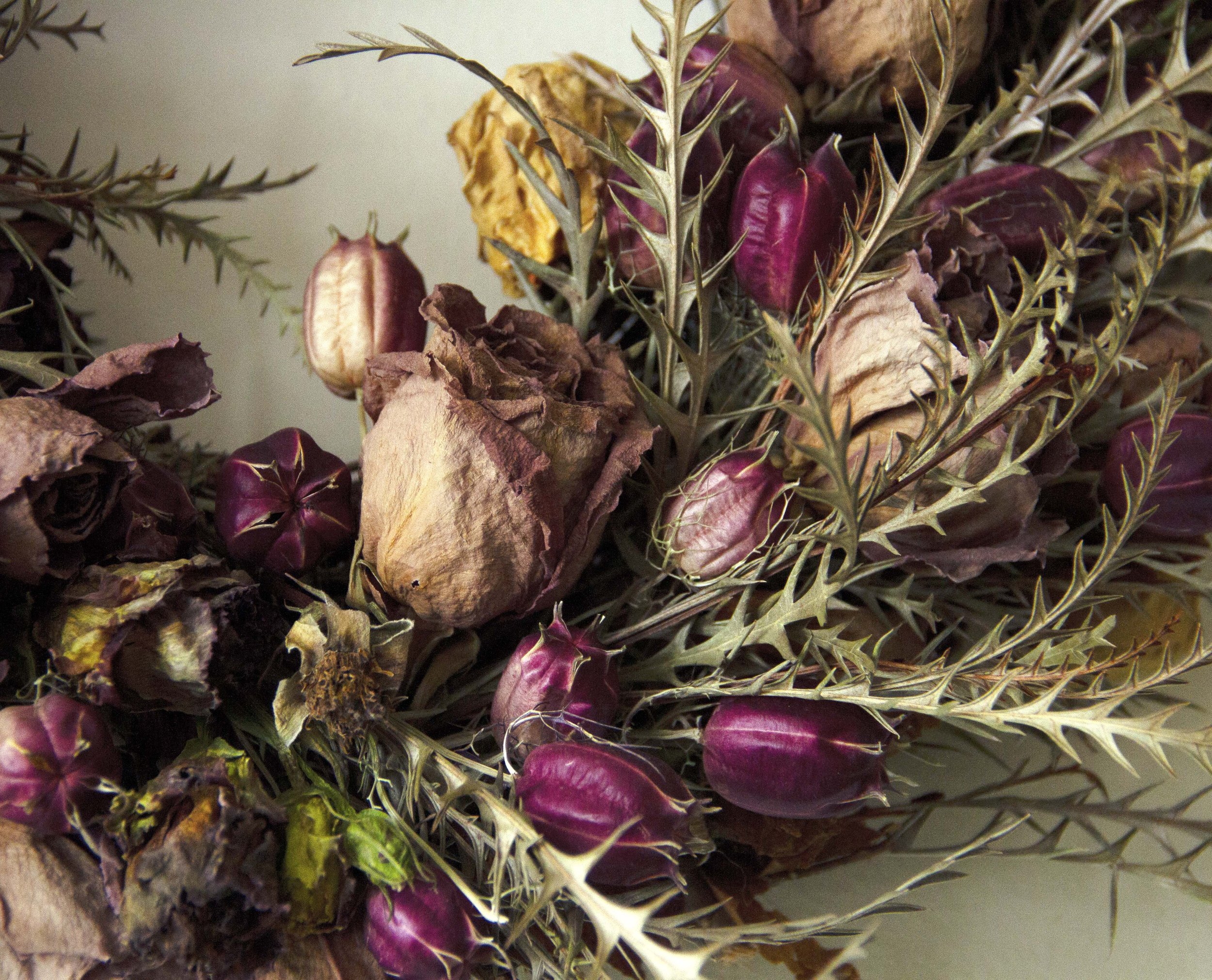 125 Burgundy nigella rose details low res.jpg