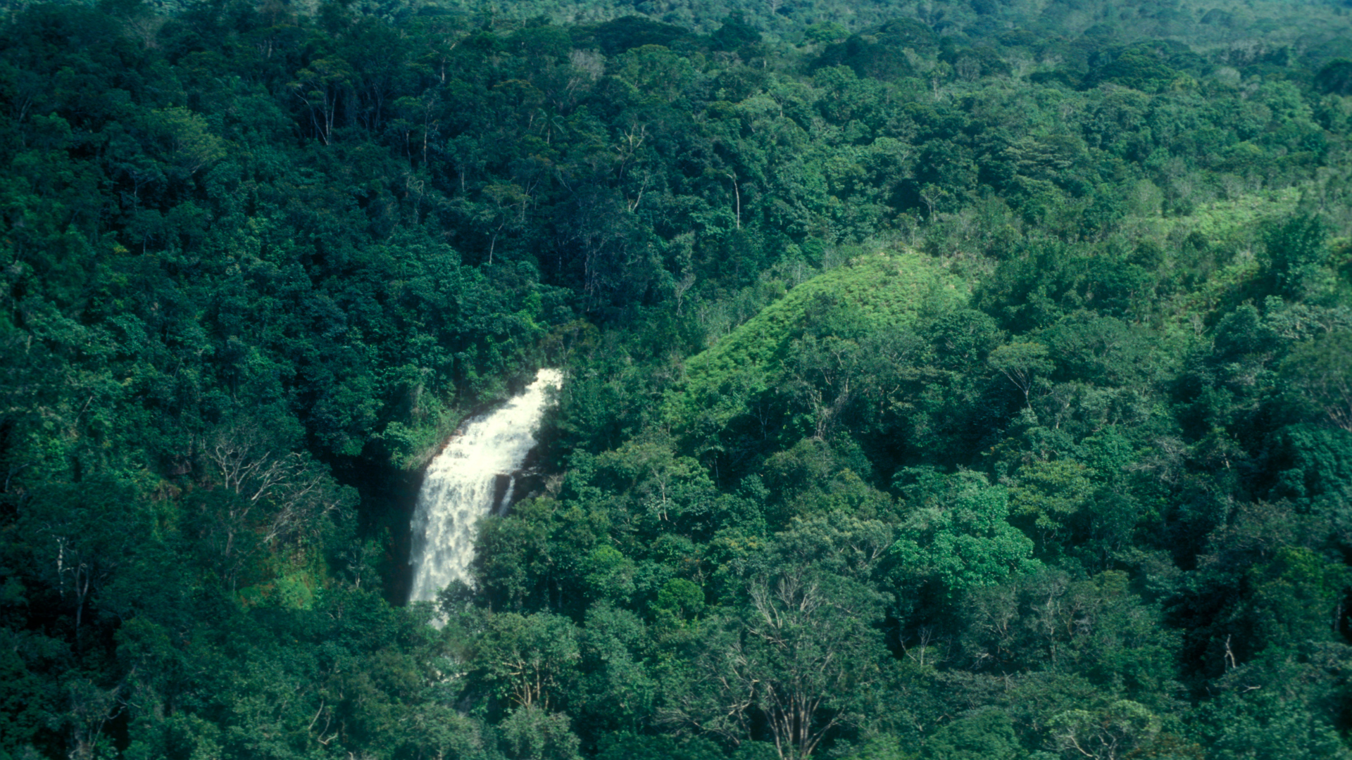 Modern Spirit - Home Page Video (updated).png