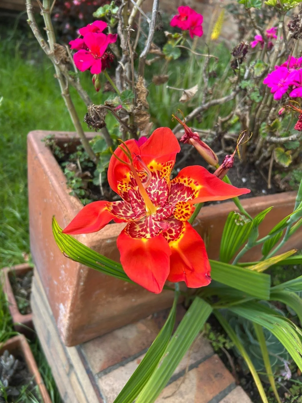 WhatsApp Image 2025-09-05 at 3.29.36 PM (2).jpeg