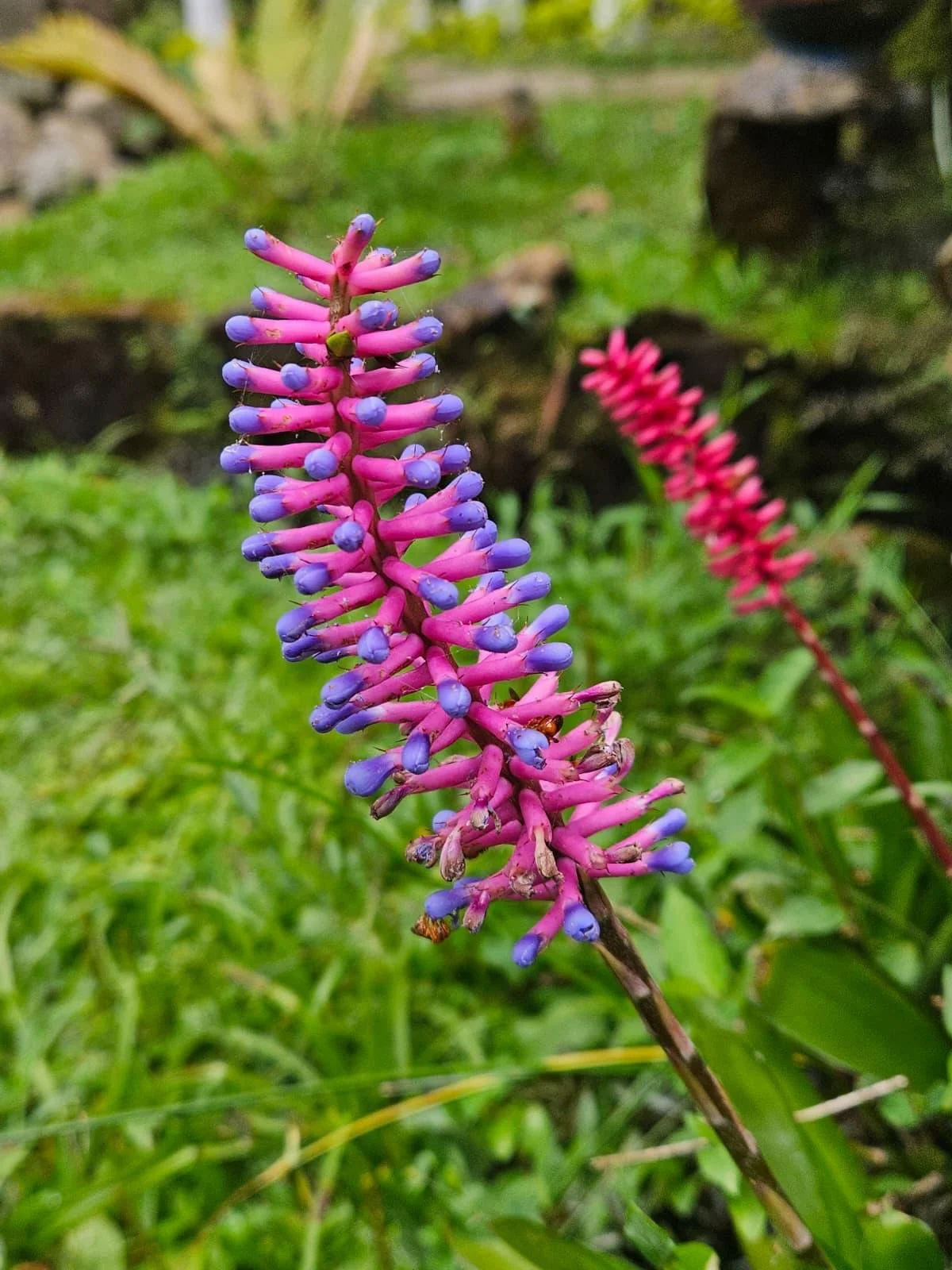 WhatsApp Image 2025-09-05 at 3.29.37 PM (3).jpeg