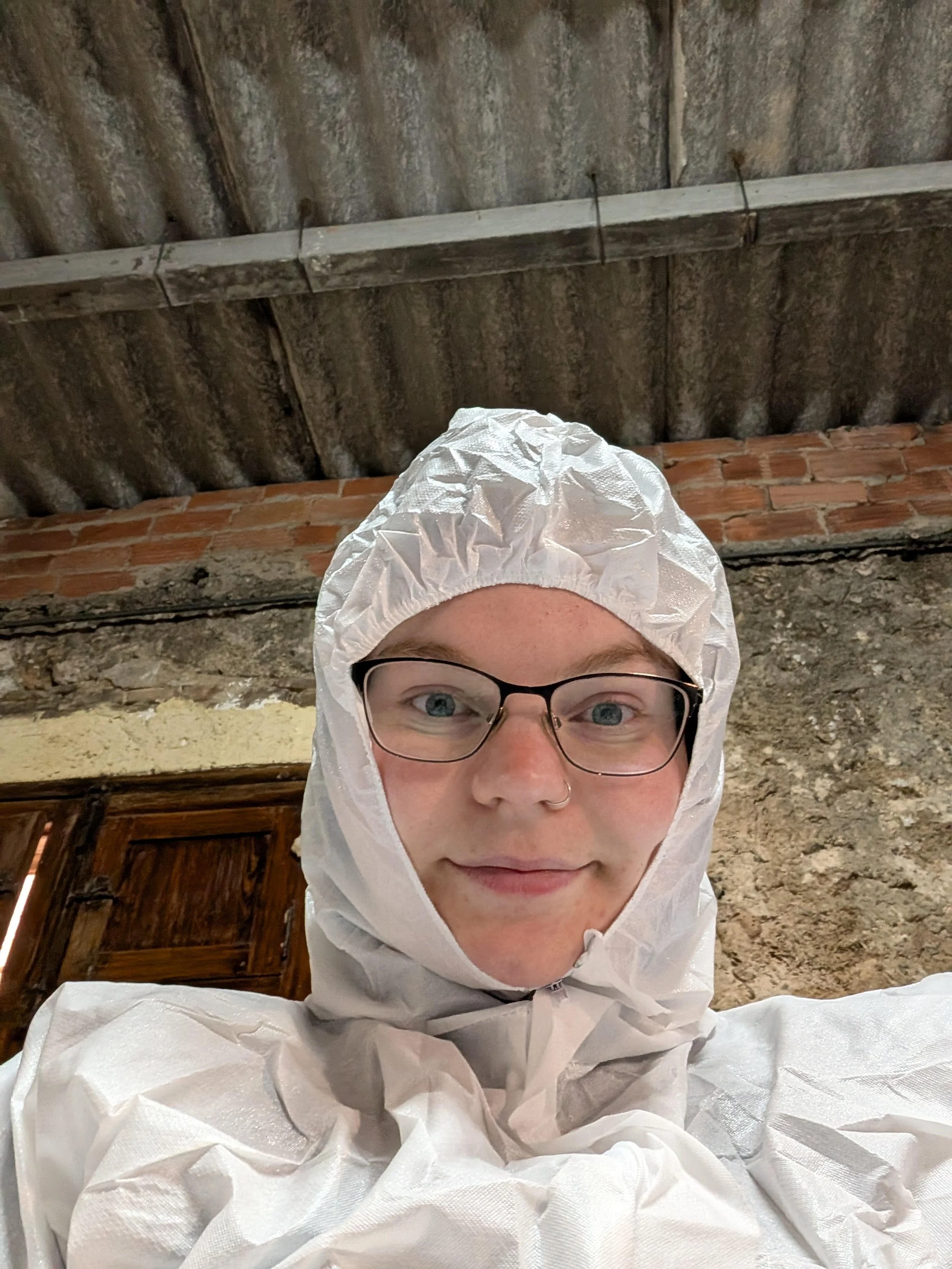 Makenzie Wellerdt, BA