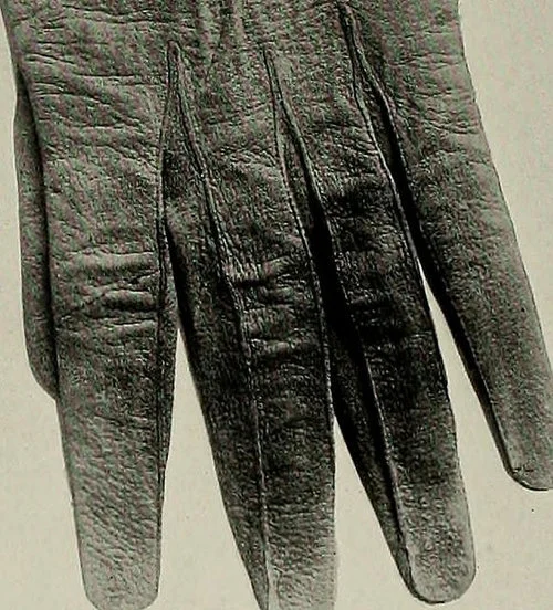 14577346879_19dcfb2a77_z.jpg