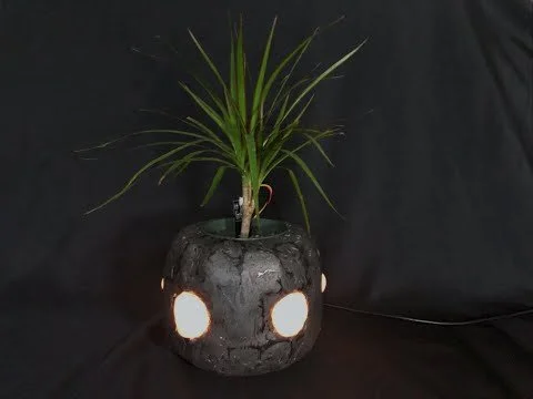 Smart LED Flower Pot