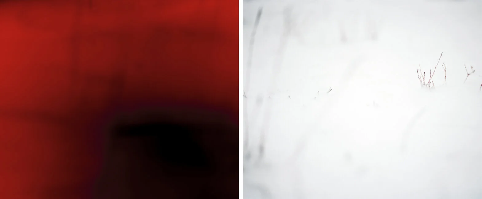 large.jpg