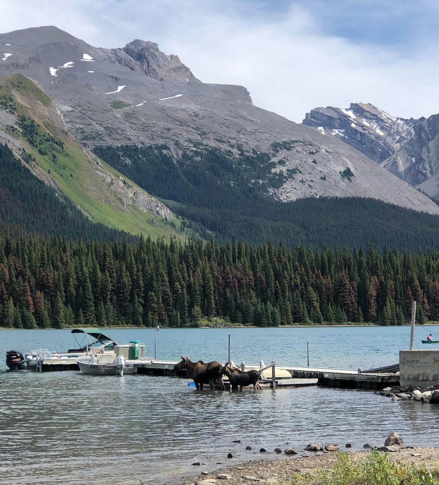 2020 was a wild ride. We didn&rsquo;t anticipate a global pandemic after moving to another country, but we sure made the most of our year!

Here&rsquo;s a list and pictures of my top 10 outdoor adventure moments from this year in Alberta (read the fu