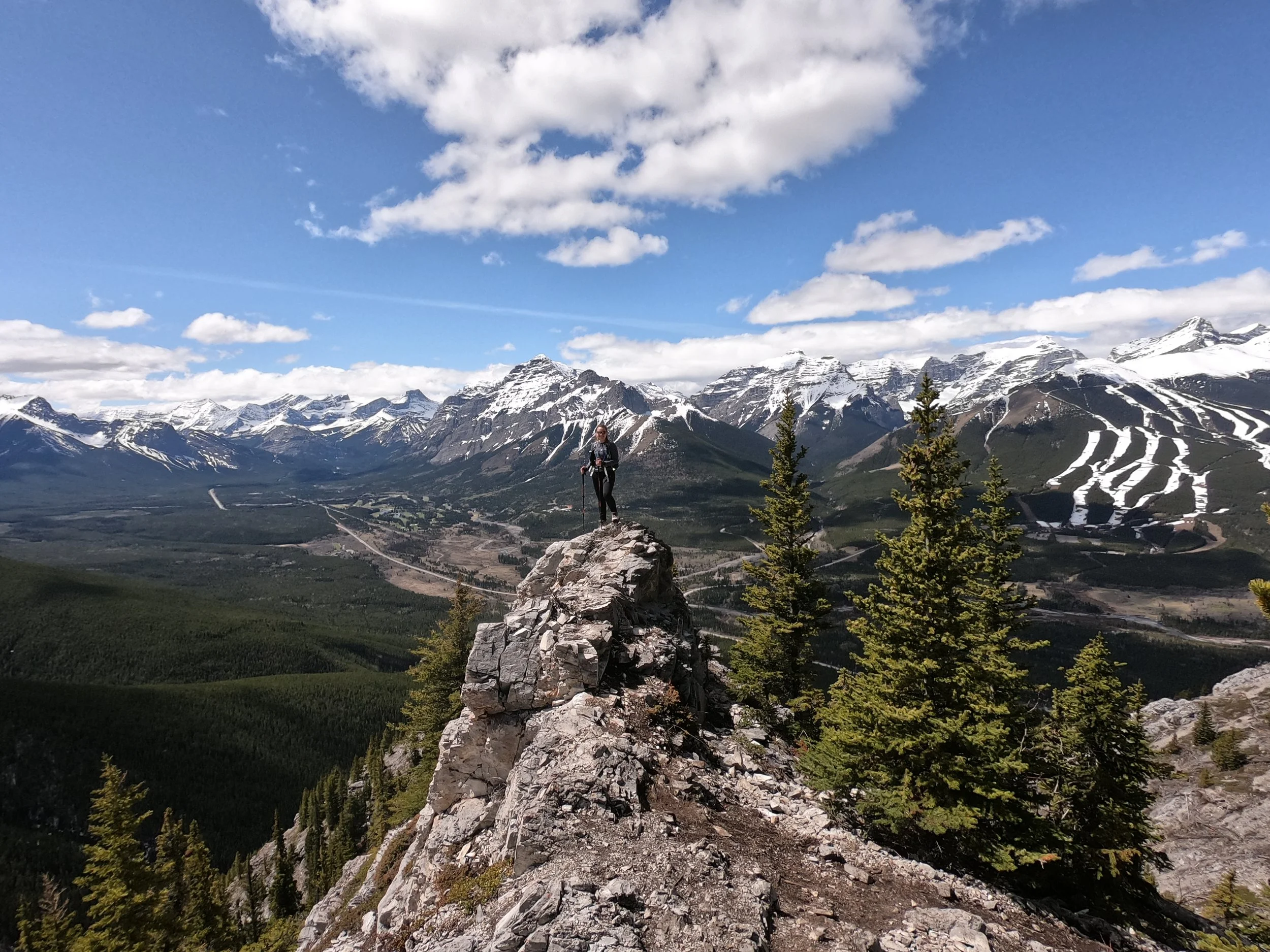 How Did We Get Here?