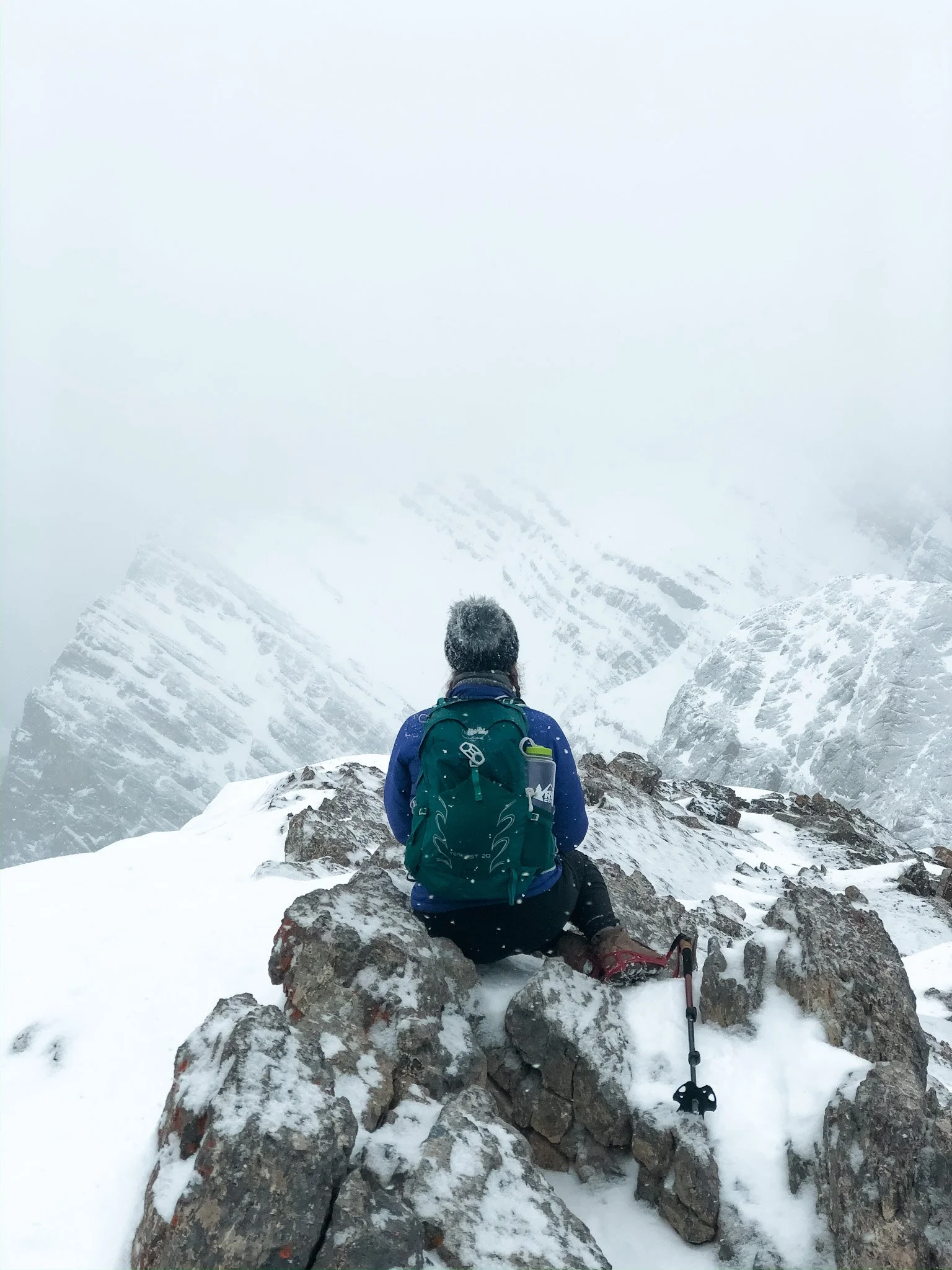 Life is a Whirlwind.