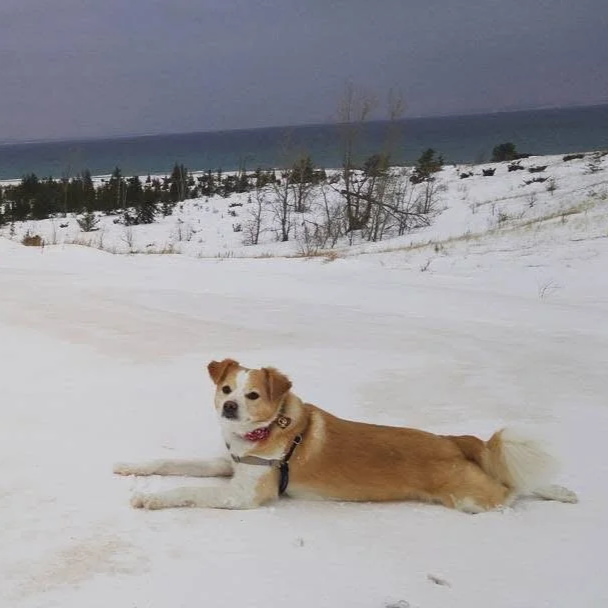 IMG_7866.png