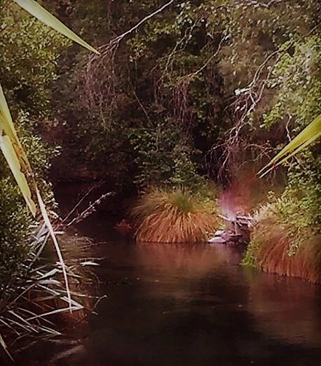 The Demon-Possessed Man Healed (Part Two)