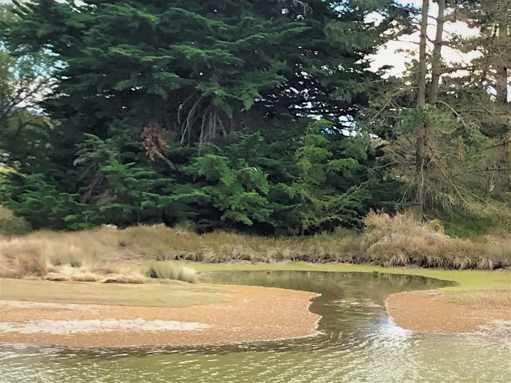 What Is Peace That Passes All Understanding?