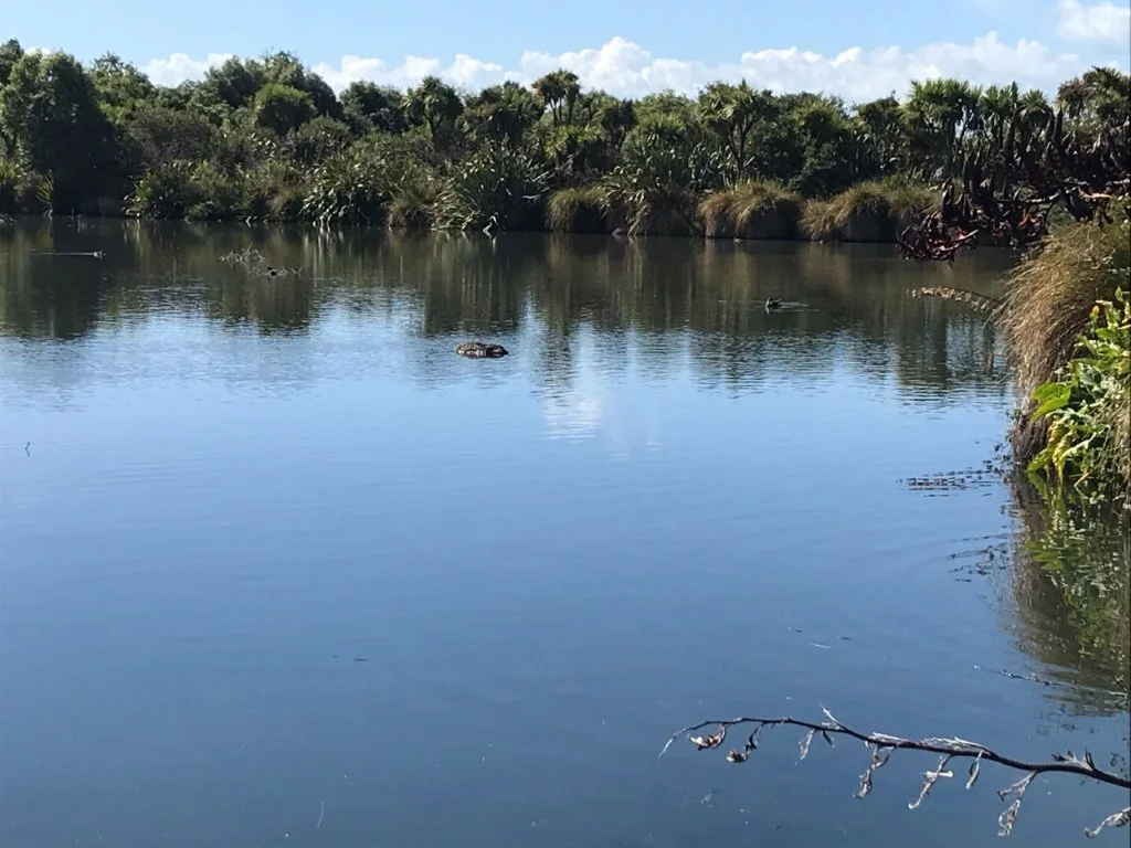 Our Indescribable God