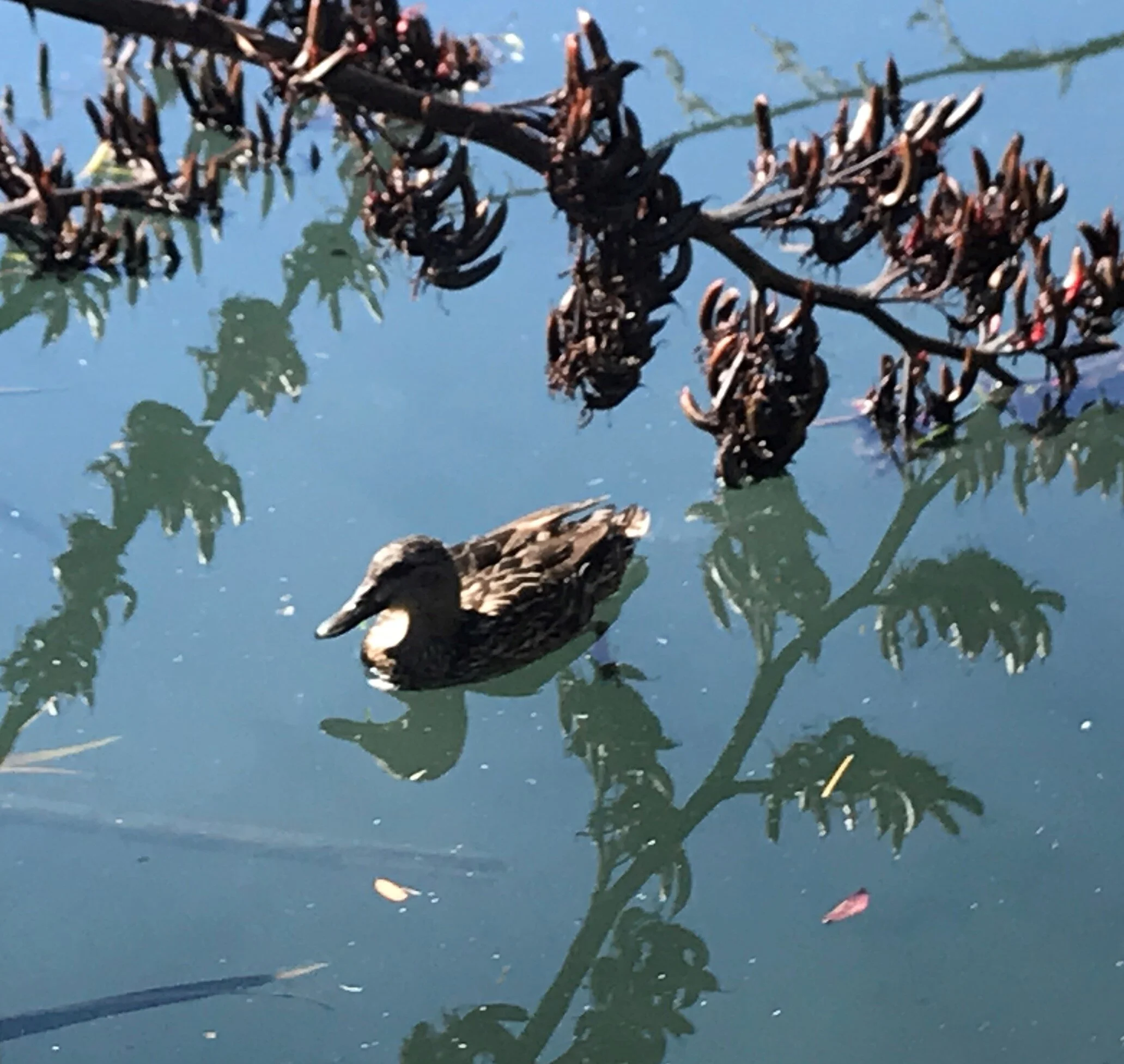 Soldiers of Christ Arise (Part Two)