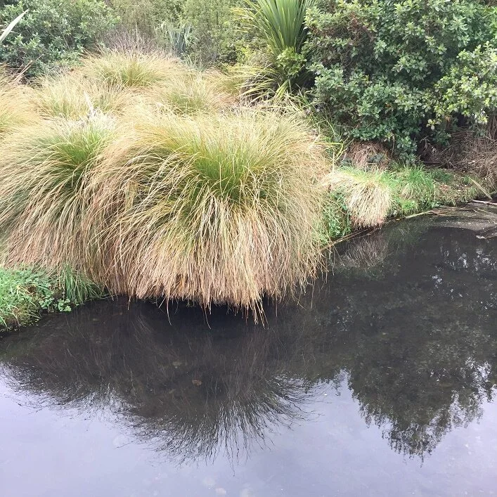 Lessons from Adversity (Part One)