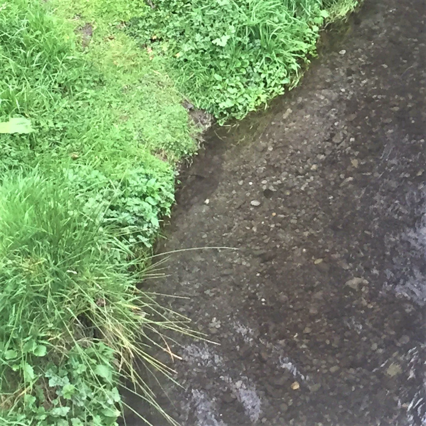 Lessons from Adversity (Part Three)