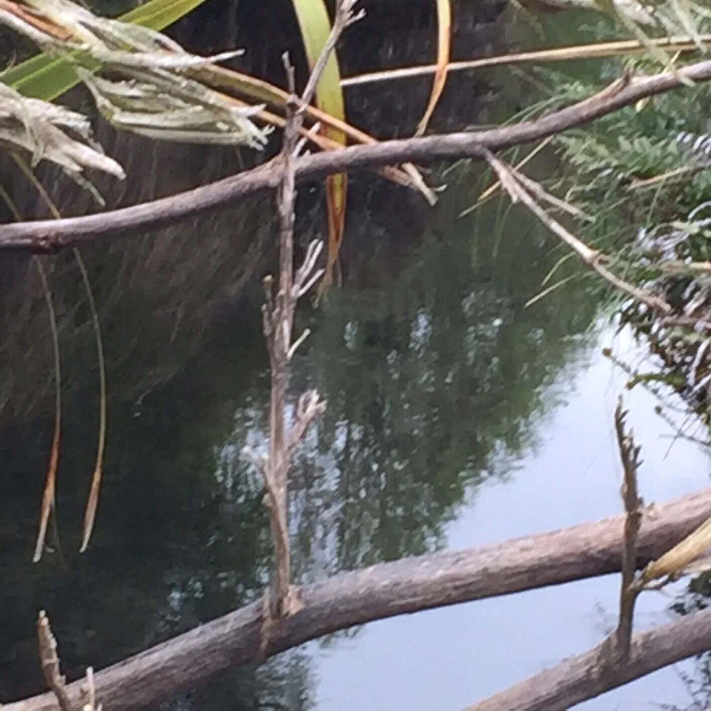 Lessons from Adversity (Part Four)