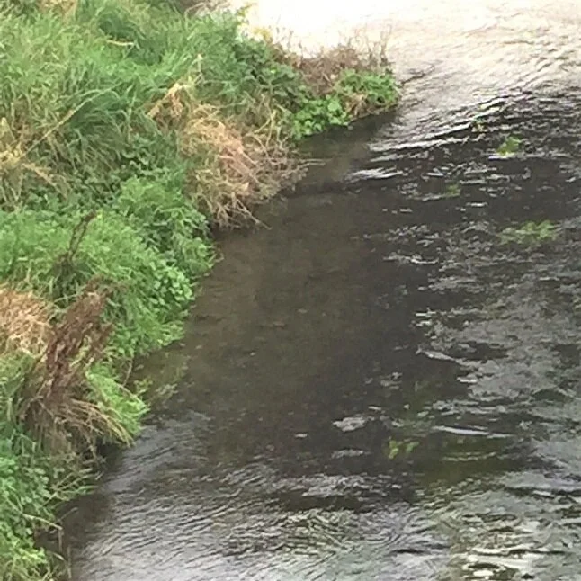 Lessons from Adversity (Part Six)