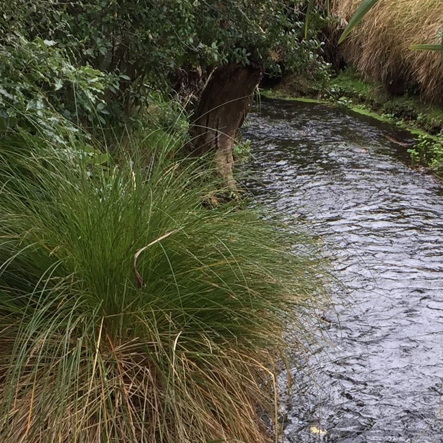 Lessons from Adversity (Part Seven)