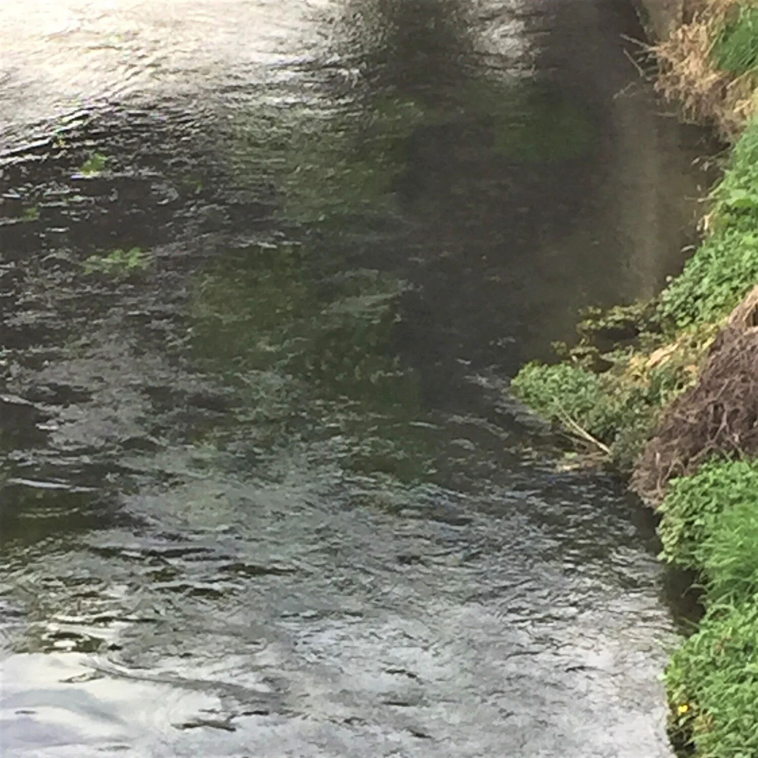 Lessons from Adversity (Part Eight)