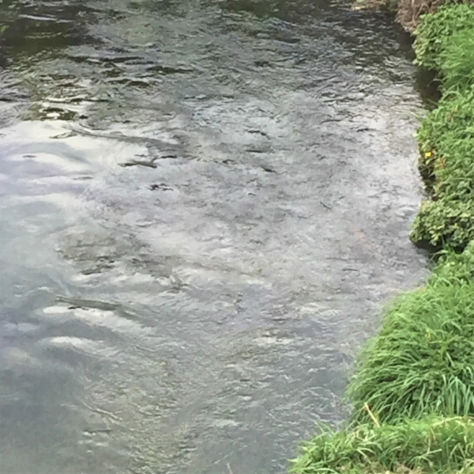 Lessons from Adversity (Part Nine)