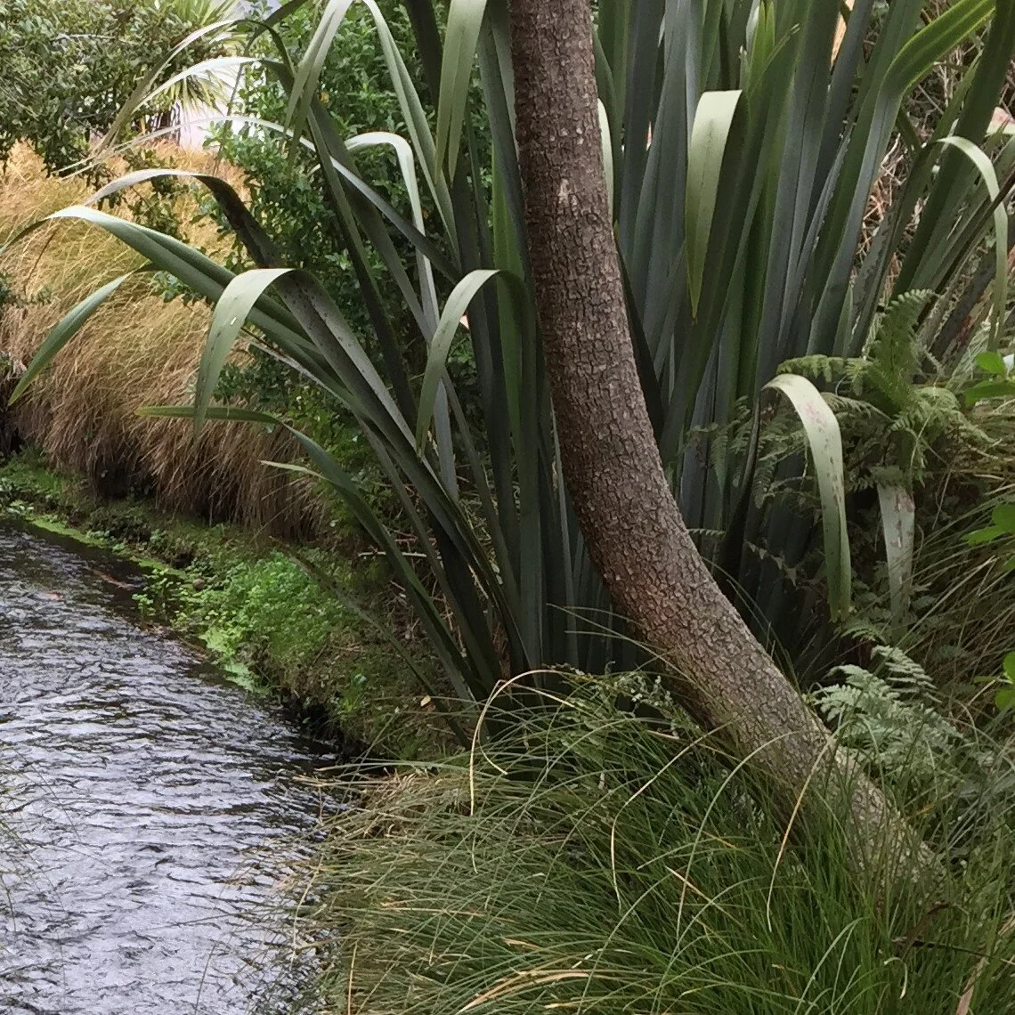 Lessons from Adversity (Part Eleven)