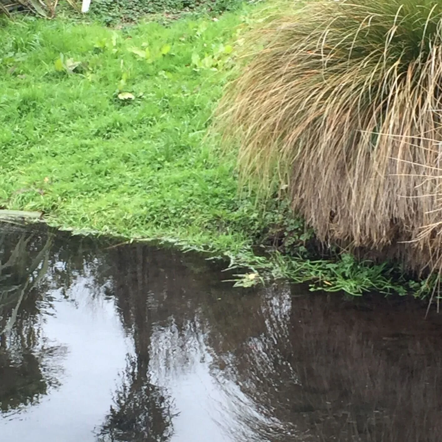 Lessons from Adversity 