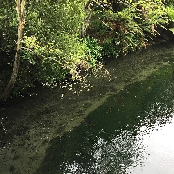 Conduit or Container