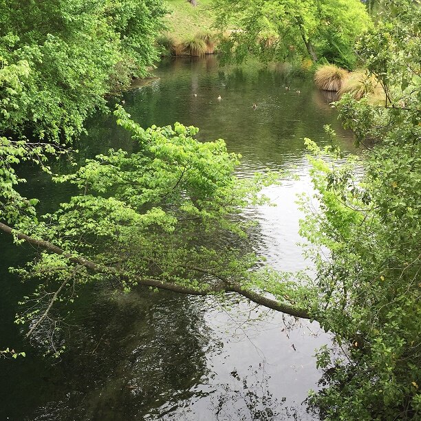 We Are Fearfully and Wonderfully Made