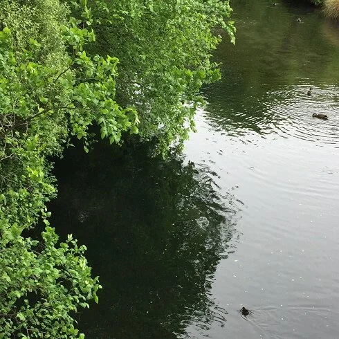 What Is Heaven Like?