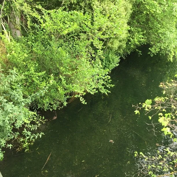 God Gives Us What to Pray For