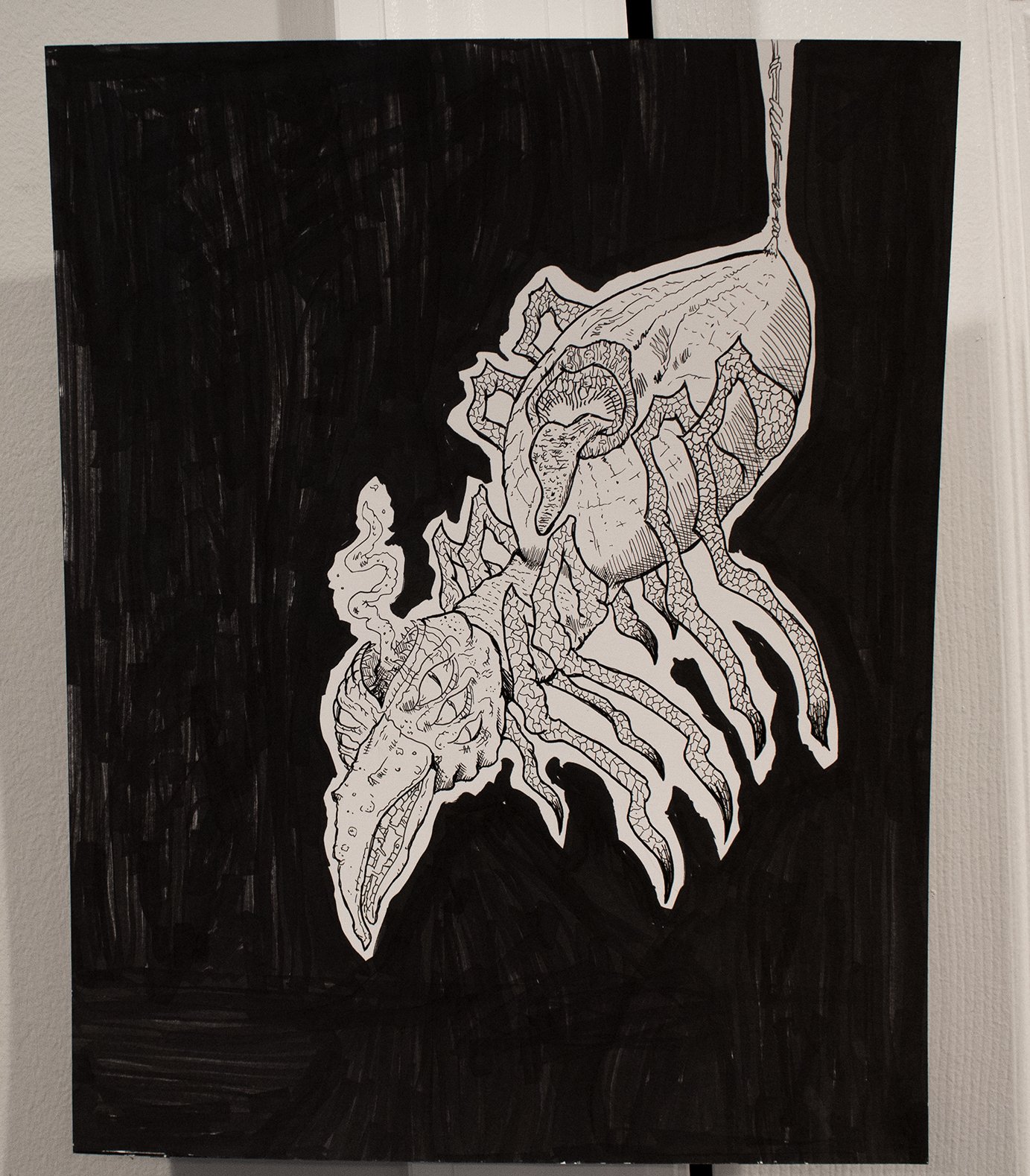 Spider
