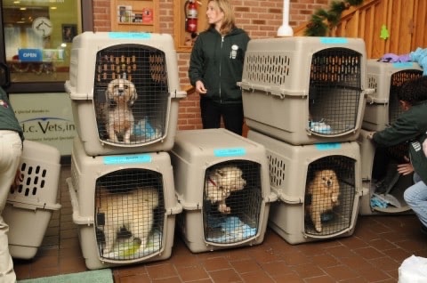 In Virginia, you can’t fight city hall