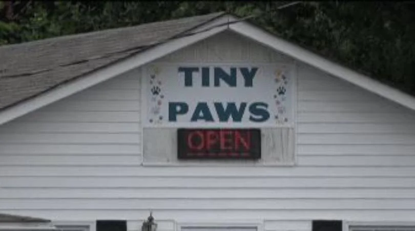 Ruckersville pet store owner defends business amid controversy
