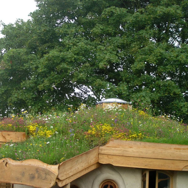 Arden Grove Infant School
