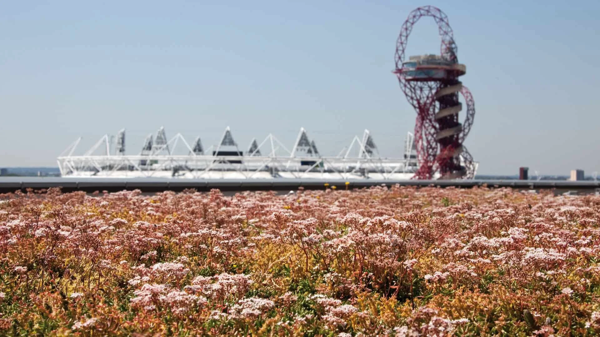 Green-Roof-banner - compressed.jpg