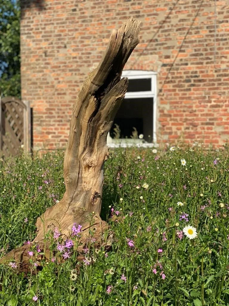 When &amp; How to Cut a Wildflower Meadow