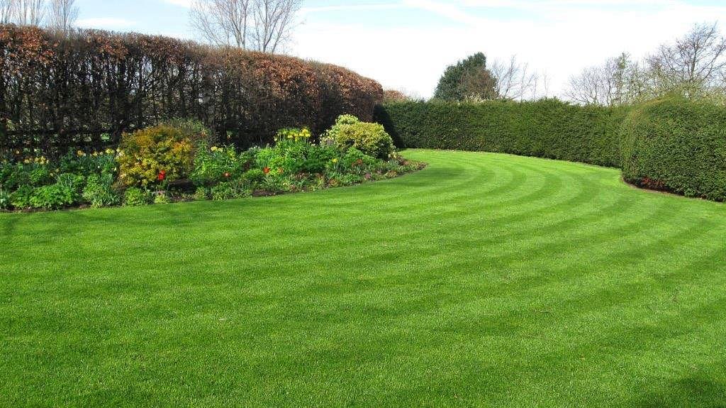 Preparing your lawn for Spring