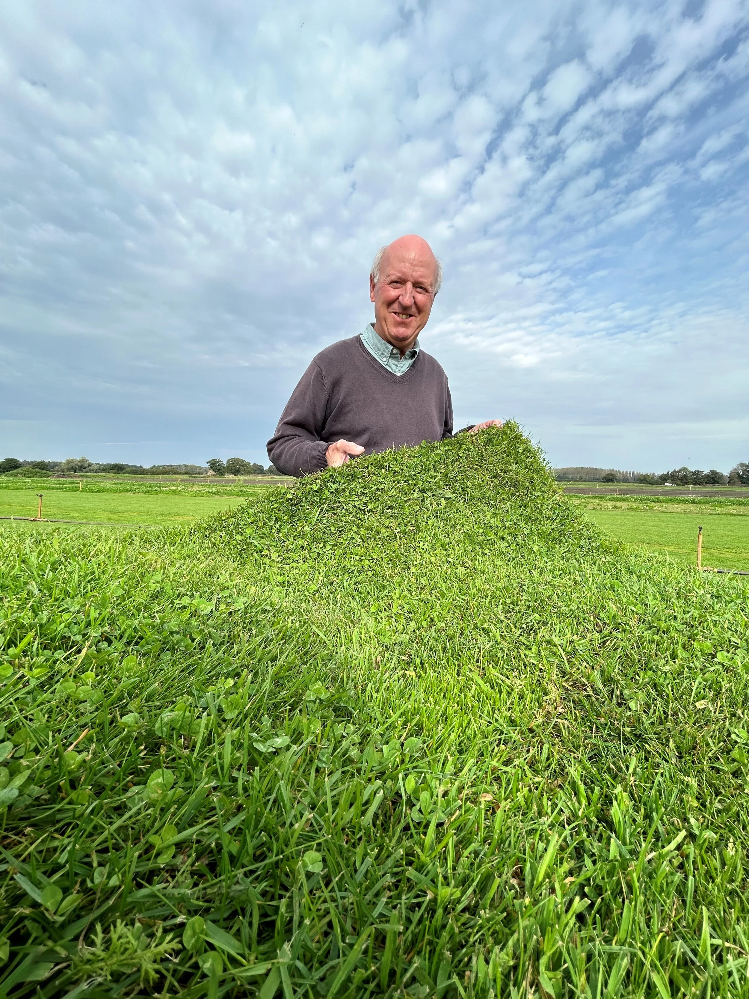 Species Rich – the tough turf that’s easy on insects! 