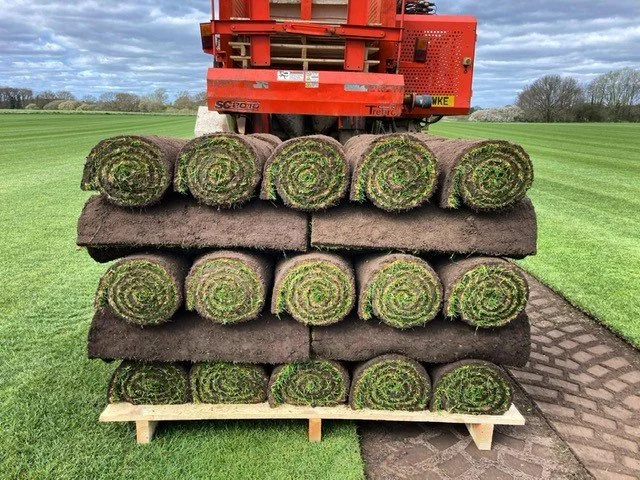 Turf – the ultimate guide