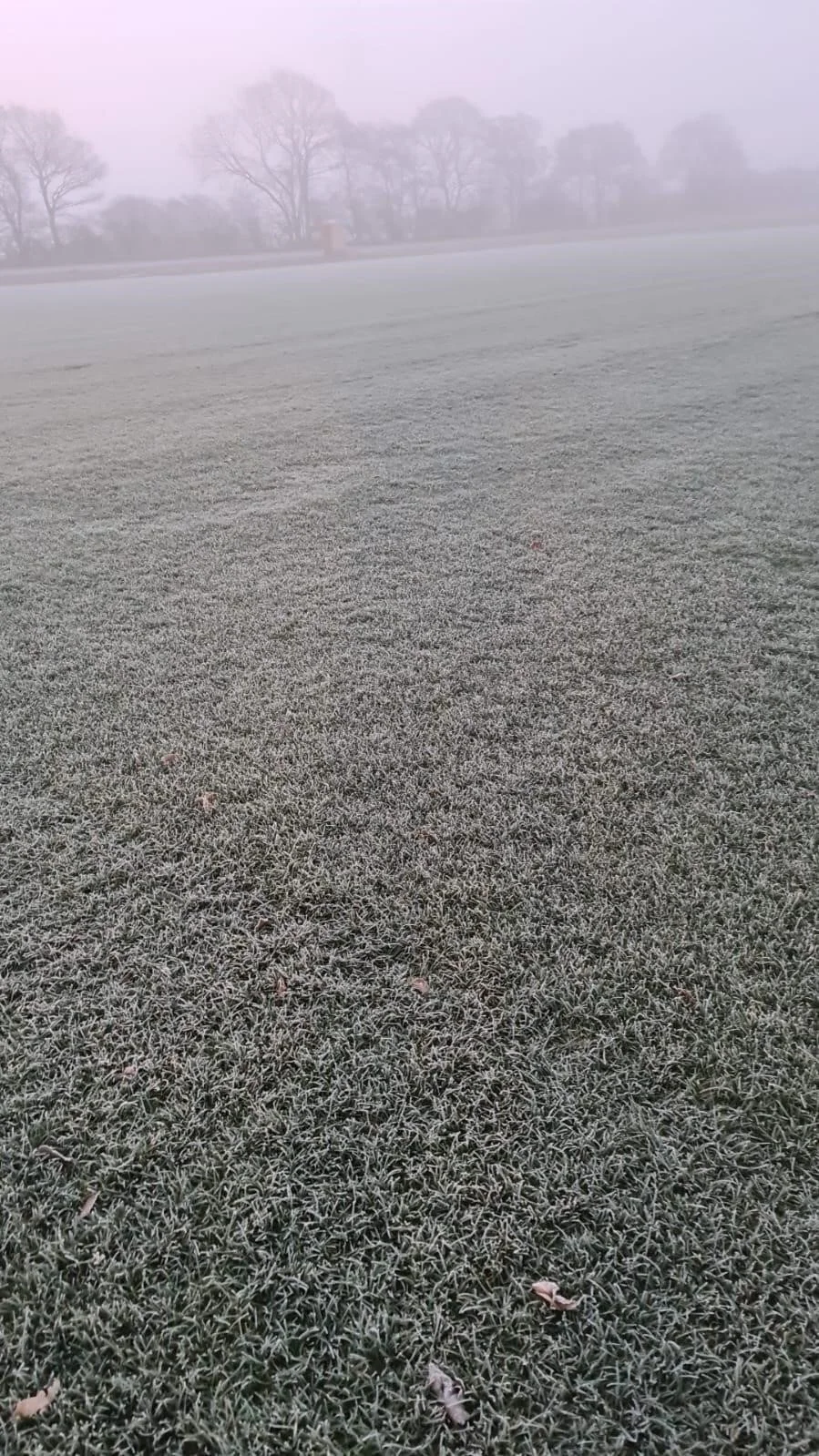 Can you lay turf in winter? 
