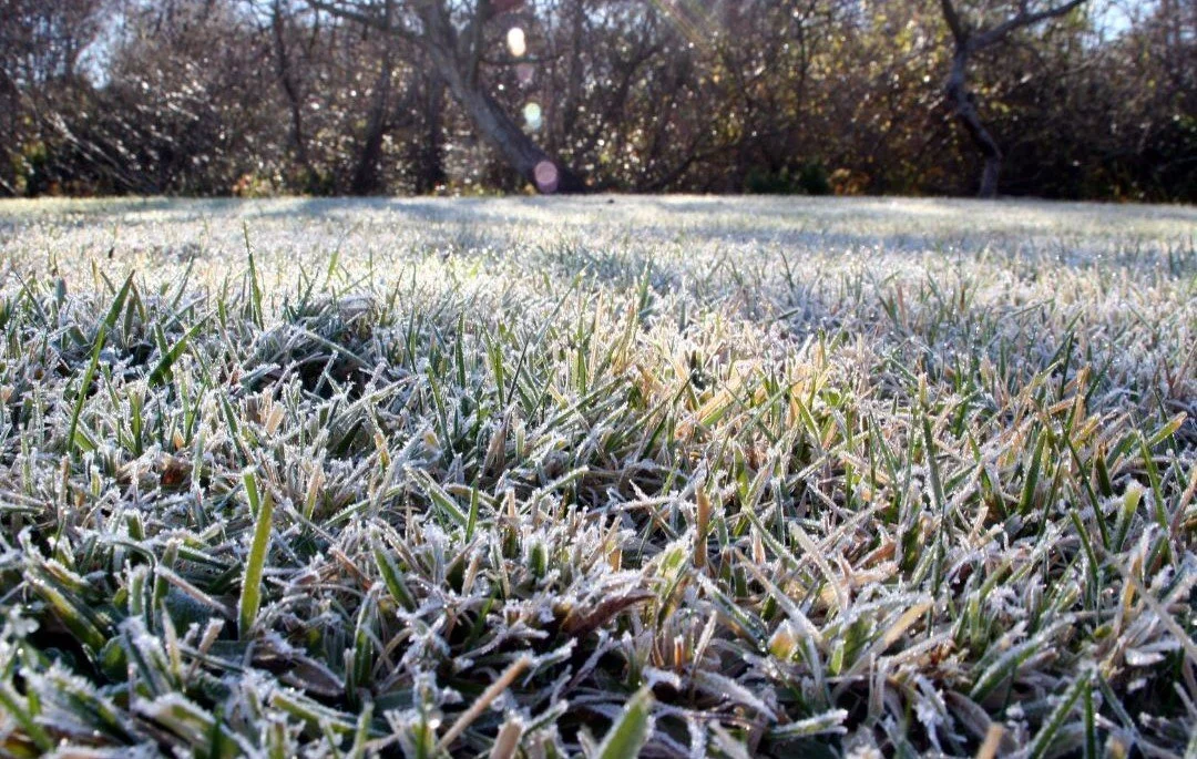 Maintaining Your Lawn in Winter: Essential Tips for a Healthy Lawn