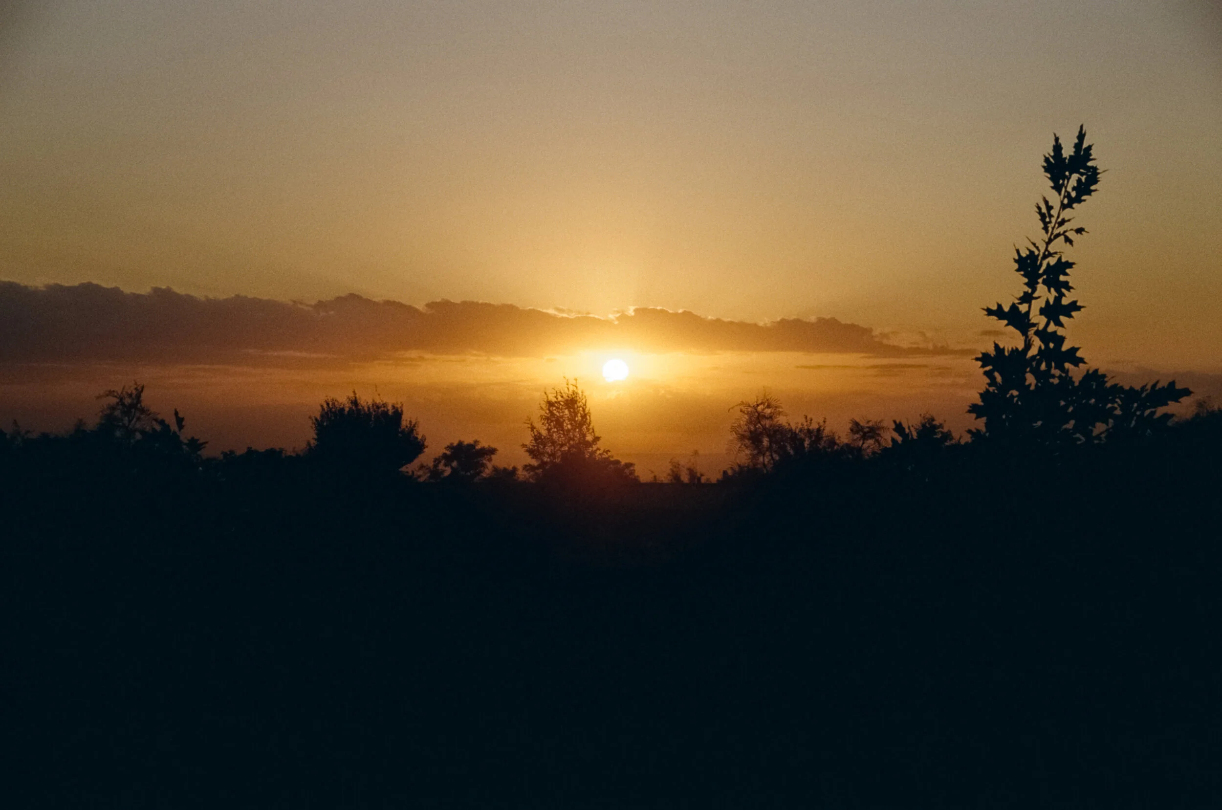 Uco Valley, Argentina 