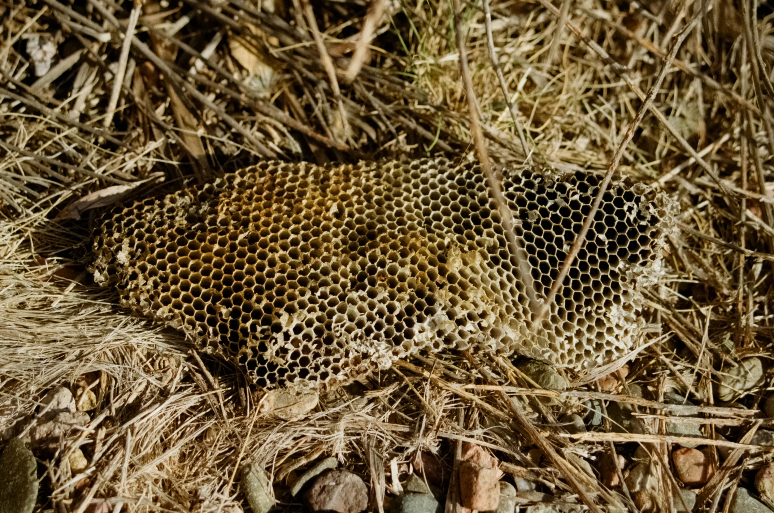 Uco Valley, Argentina 