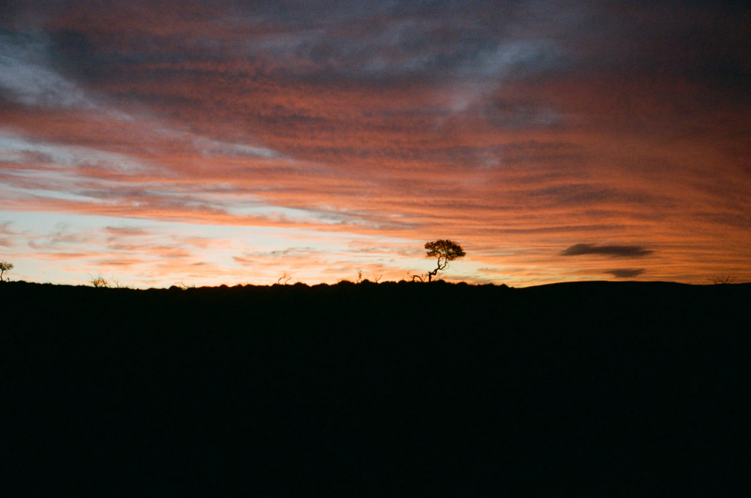 South Australia