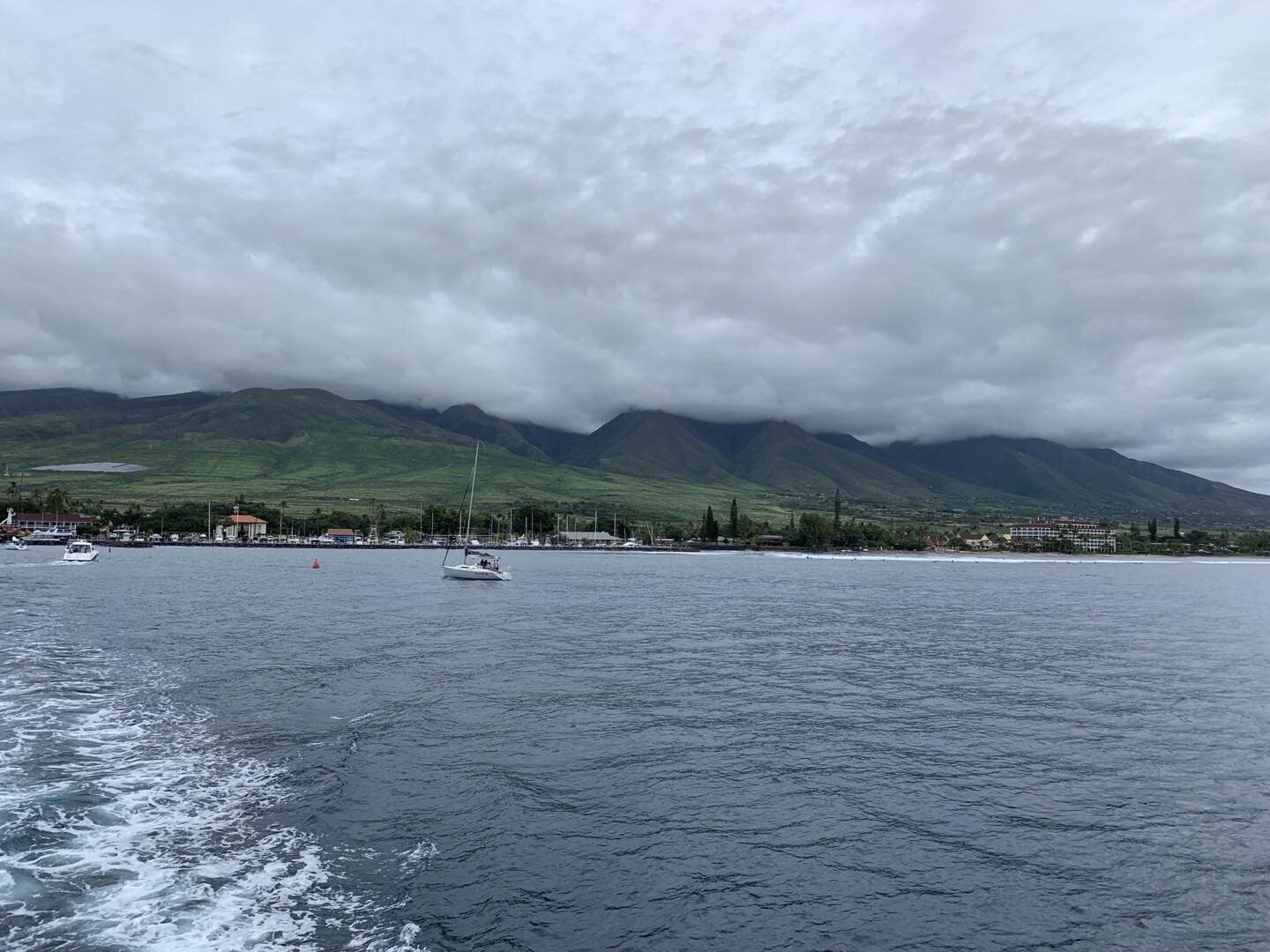 #byemaui