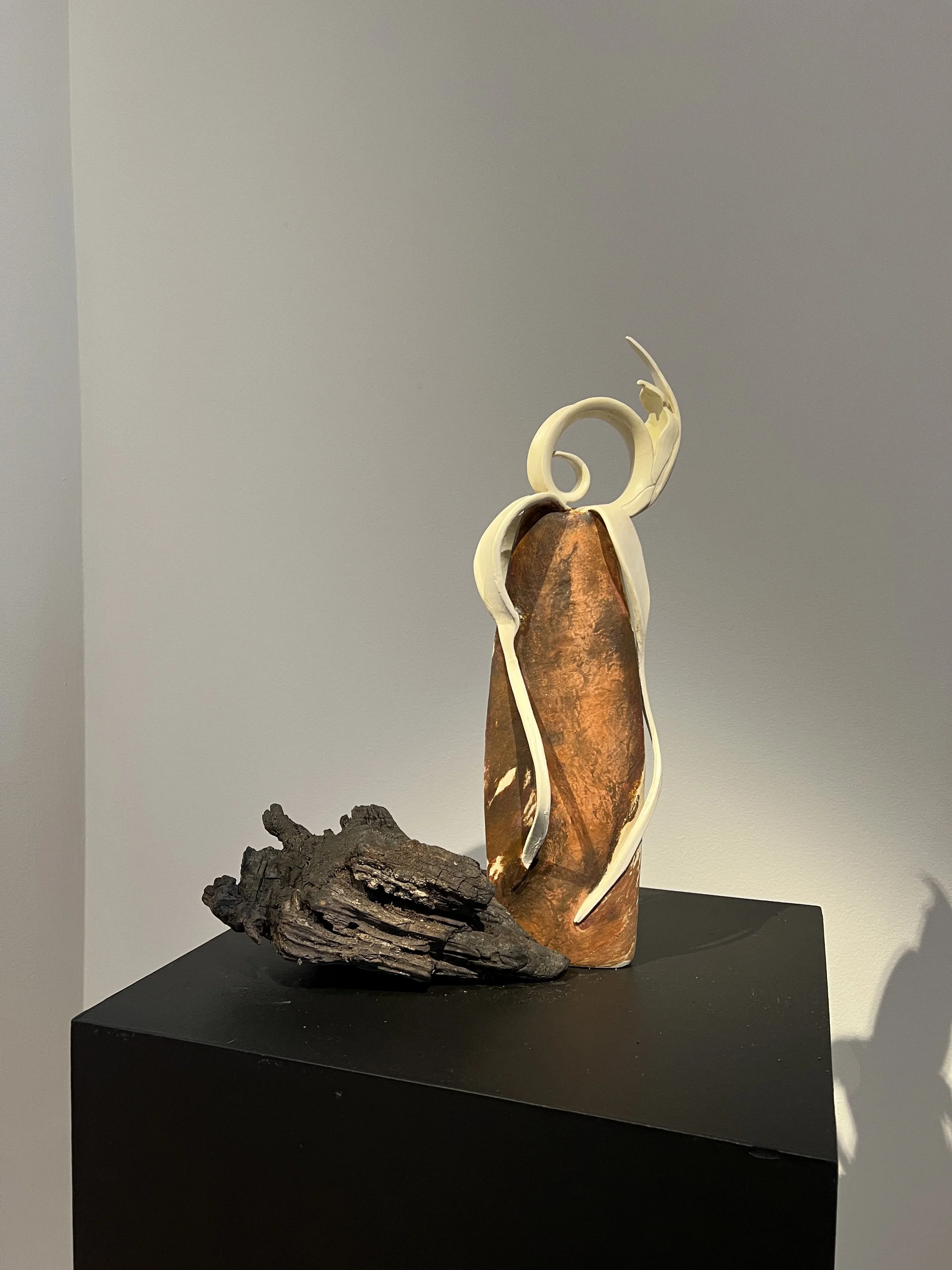 Mutualism: Stoneware, porcelain, found board, wood, acrylics