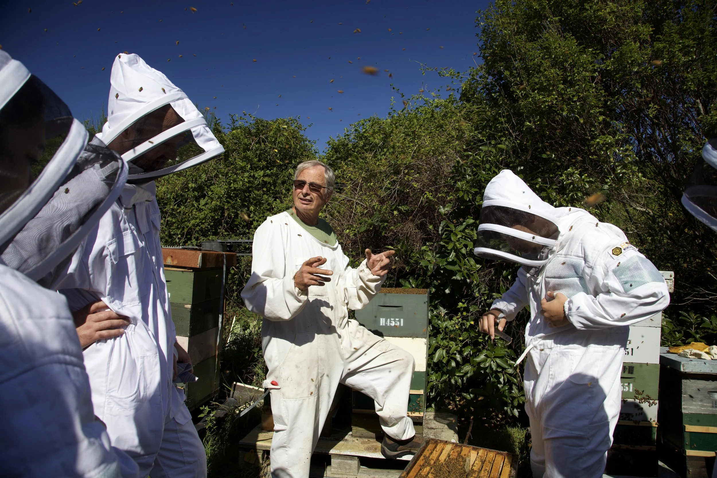 John Burnet-Kaiako Beekeeping Te Whanganui a Tara