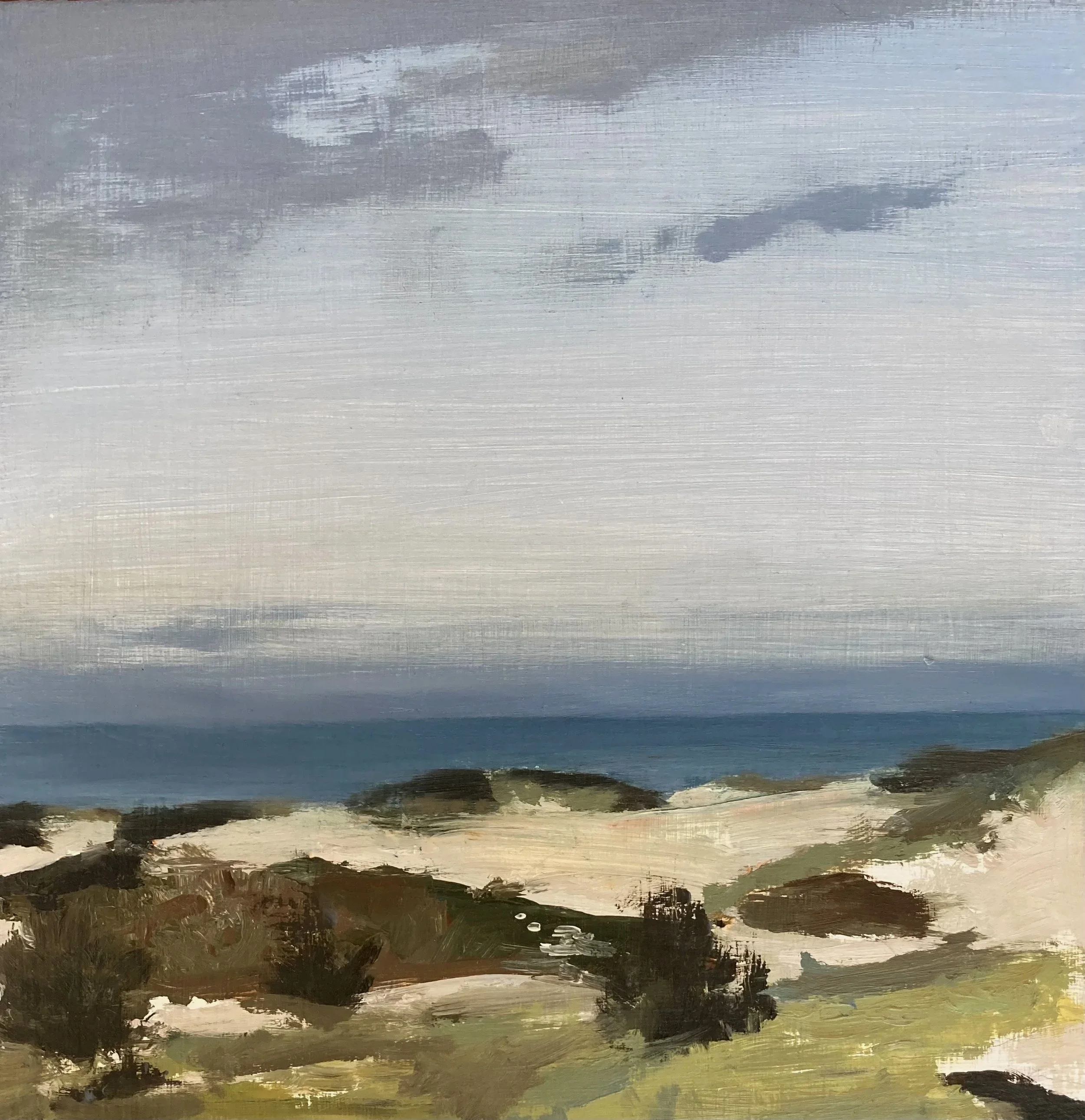 Dunes, Sandy Neck