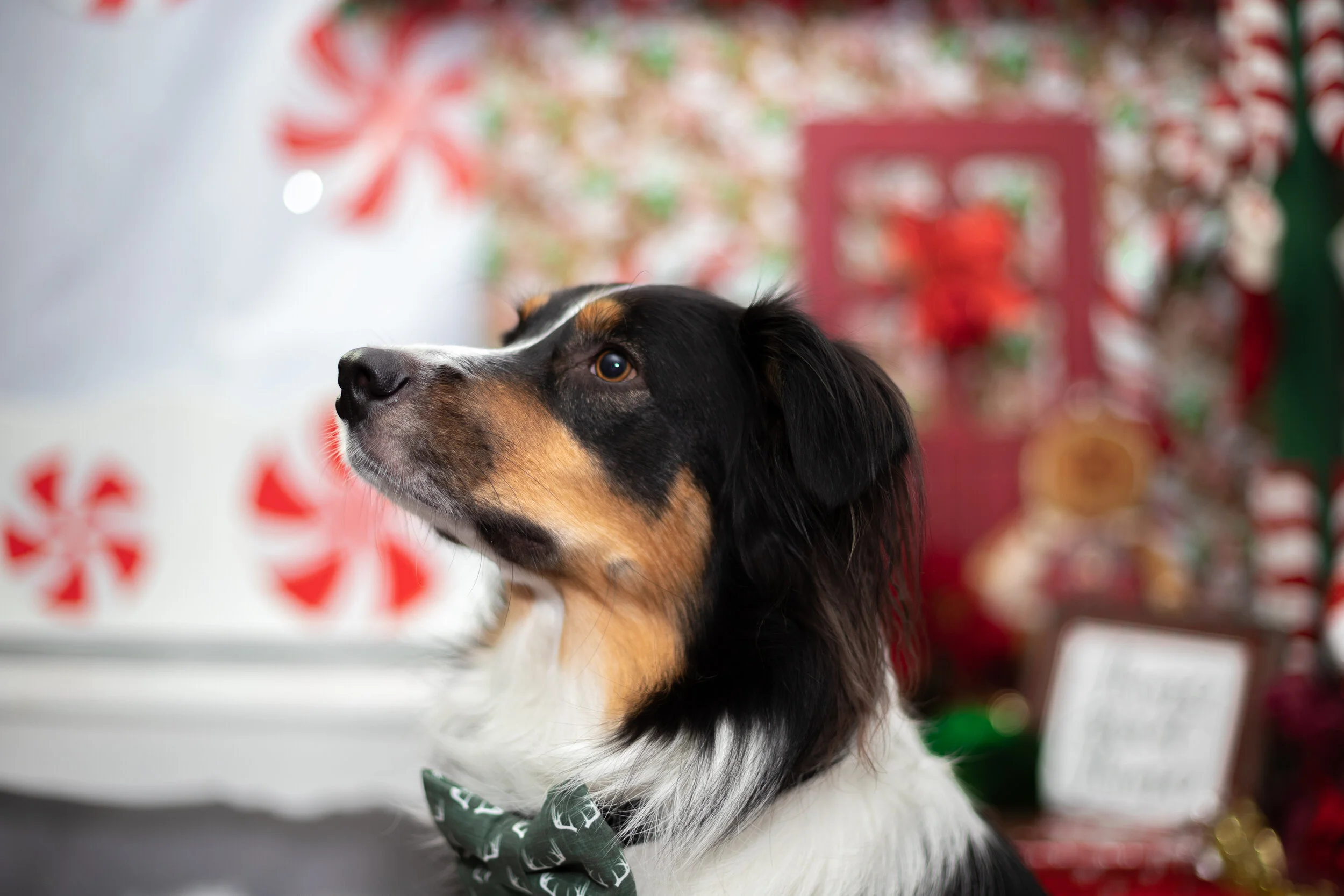 TMS OPEN HOUSE-33.jpg